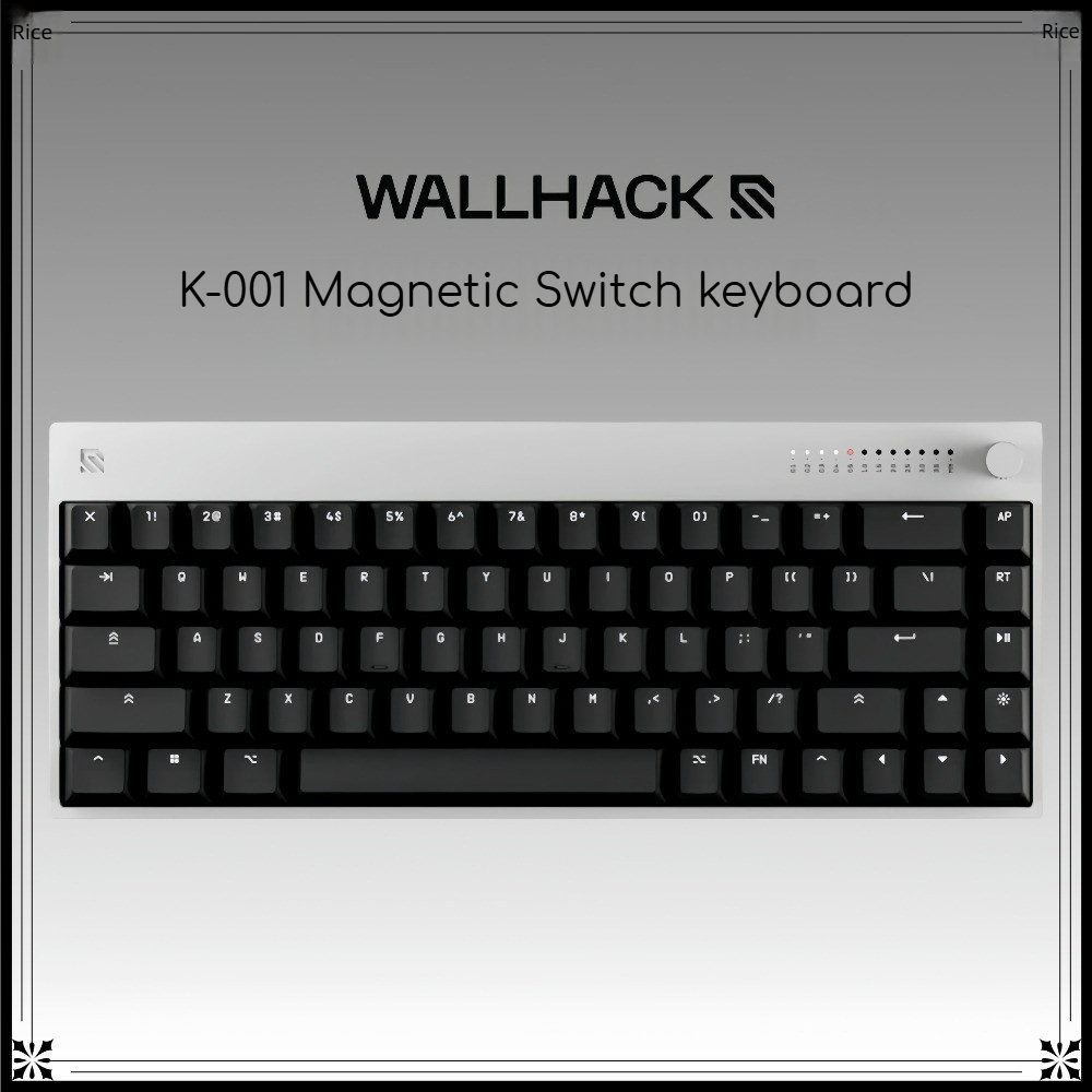 WALLHACK K-001 Hall Effect Mag - Gaming Keyboard Hall Effect Switches ulasan dan harga